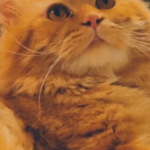 Fiona is missing from Shalimar Hotel Kurla West