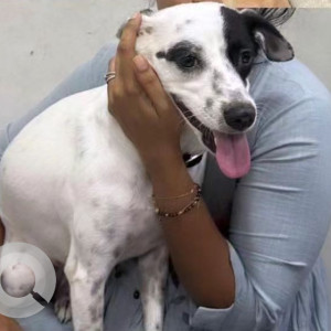 June is missing from Postal colony 1st, 2nd and 3rd street