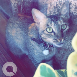 Mimi is missing from  Aerocity nearby Block H